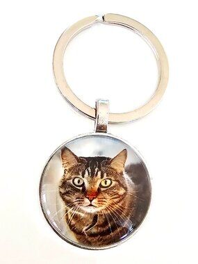 Cat Keychain Tabby Photo Glass Dome Silver Tone Cute Bag Charm Gift Pet Lover